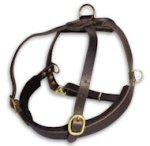Select Leather Roading Dog Harness for Bullmastiff