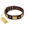 "Heavy Metal" FDT Artisan Brown Leather Bullmastiff Collar with Old Bronze-like Skulls and Plates
