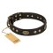 "Perfect Tracery" FDT Artisan Black Leather Bullmastiff Collar with Old Bronze Look Plates and Circles