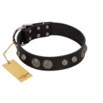 "Tricky Ricky" FDT Artisan Black Leather Bullmastiff Collar Adorned with Silver-Like Conchos