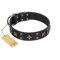 "Star Excitement" Modern FDT Artisan Black Leather Bullmastiff Collar with Studs and Stars