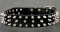 Black Spiked Leather Dog Collar for Bullmastiff