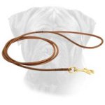Fascinating Round Handcrafted Leather Leash for Bullmastiffs