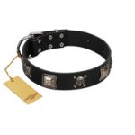 "Sea Rover" Embellished FDT Artisan Black Leather Bullmastiff Collar with Chrome Plated Crossbones and Plates