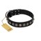 "Black Eagle" Handcrafted FDT Artisan Black Leather Bullmastiff Collar with Silver-Like Adornments