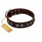 "King Arthur" FDT Artisan Brown Leather Bullmastiff Collar with Spiky Plates