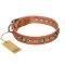 "Daily Chic" FDT Artisan Tan Leather Bullmastiff Collar with Decorations