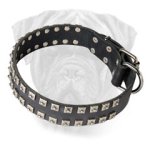 Stylish Leather Dog Collar With funky Cones for Bullmastiff