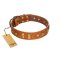 "Sand of Time" FDT Artisan Tan Leather Bullmastiff Collar with Old Bronze-like Studs and Plates