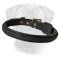 Fabulous Braided Leather Bullmastiff Collar for Walking and Training
