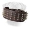 Bullmastiff Leather Spiked Collar Gladiator