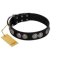 "Magic Amulete" Handcrafted FDT Artisan Black Leather Bullmastiff Collar with Chrome-Plated Shields