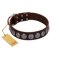 "Charming Circles" FDT Artisan Brown Leather Bullmastiff Collar with Silver-like Studs