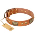 "Saucy Nature" FDT Artisan Tan Leather Bullmastiff Collar with Old Bronze Look Plates and Skulls