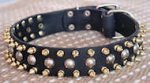 Three Rows brass Leather Spiked & Studs perfect Dog Collar
