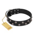 "Power-Flower" FDT Artisan Black Leather Bullmastiff Collar with Two Rows of Silver-like Studs with Engraved Flowers