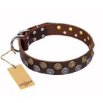'Strong Shields' FDT Artisan Wide Leather Bullmastiff Collar Adorned with Studs