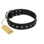 "Natural Beauty" Premium Quality FDT Artisan Black Designer Bullmastiff Collar with Dotted Studs
