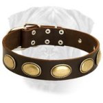 High Quality Leather Dog Collar for Bullmastiff