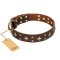 'High Fashion' FDT Artisan Embellished Brown Leather Bullmastiff Collar