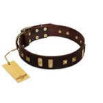 "Choco Delight" FDT Artisan Brown Leather Bullmastiff Collar with Old Bronze-like Plates and Studs