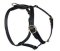 Similar to La Cinopelca Adjustable Leather Harness for Mastiff