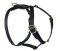 SENSATION Dog Harness for BullMastiff walking