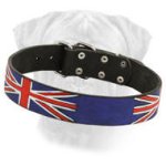 Leather Bullmastiff Collar United Kingdom Pride