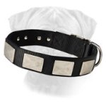 Nylon Dog Collar For Large and Medium Breeds With Vintage Plates