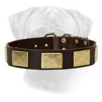 Handcrafted Leather Dog Collar With Vintage Massive Brass Plated Plates