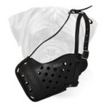 "Dondi" Style Leather Bullmastiff Muzzle