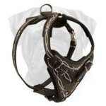 Bullmastiff Leather Dog Harness Wide Chest Plate Barbed Wire Painted