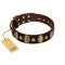 "Retro Pusle" FDT Artisan Brown Leather Bullmastiff Collar with Old Bronze-like Studs and Oval Brooches