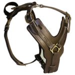 Bullmastiff Padded Dog Harness H10