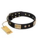 "Antique Gloss" FDT Artisan Black Leather Bullmastiff Collar with Bronze-like Plates and Small Studs