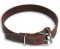 Leather Buckle Dog Collar BullMastiff