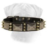 Custom Spiked Leather Dog Collar - perfect handmade dog collar