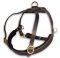 Select Leather Roading Dog Harness for Bullmastiff