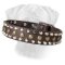 Leather Вullmastiff Collar with Pyramids and Studs Bump and Bits