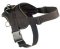 Fashion Dog Harness-Everyday Harness for Bullmastiff