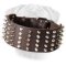 3 inch Spiked and Studded BullMastiff collar