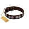 "High and Mighty" FDT Artisan Classy Brown Leather Bullmastiff Collar with Embellished Brooches