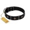 "Snappy Dresser" FDT Artisan Black Leather Bullmastiff Collar Adorned with Stars and Tiny Squares