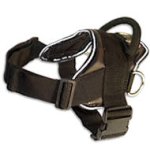 Nylon Dog Harness for Bullmastiff