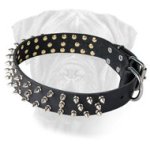 High-quality Leather Dog Collar with Rows of Spikes for Bullmastiff