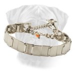 Stainless Steel Neck Tech Bullmastiff Prong Collar