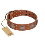 "Sun Rise Noon" FDT Artisan Tan Leather Bullmastiff Collar with Unique Design