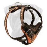 Bullmastiff Flames Painted Leather Dog Harness With Wide Chest Plate