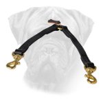 Easy Walking of 2 Bullmastiffs with Leather Coupler