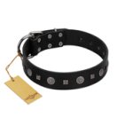 "Mr. Elegance" Designer FDT Artisan Black Leather Bullmastiff Collar with Silver-Like Studs